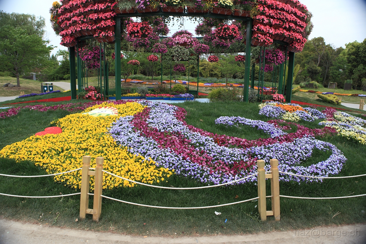 EOS 5D Mark II16_04_20134953.JPG